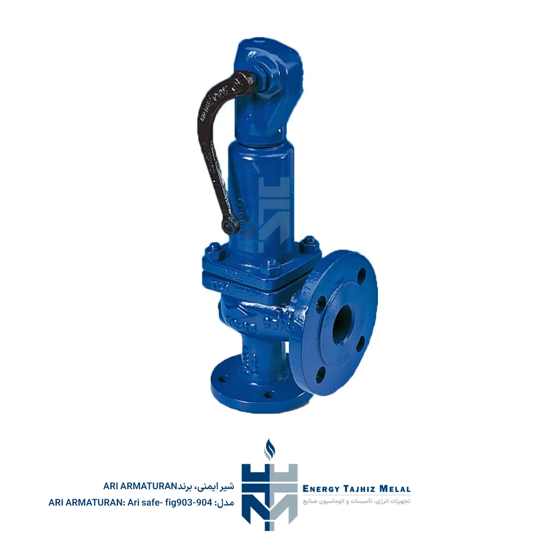 Safety valve - Ari safe- fig903-904 شیر ایمنی فنری آری Safe مدل 903/904 - تصویر 1